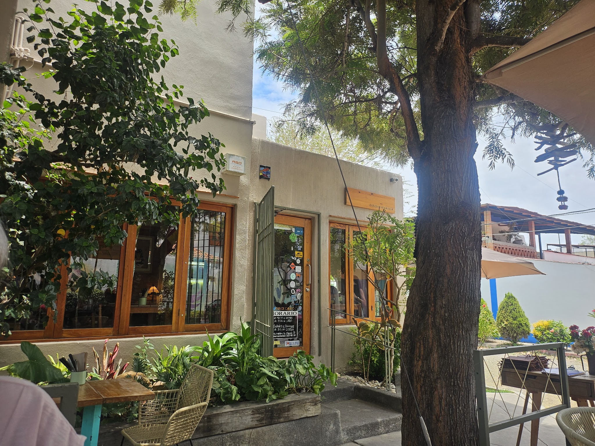 The tree-shaded entrance and outdoor patio at Café La Buena Vida.